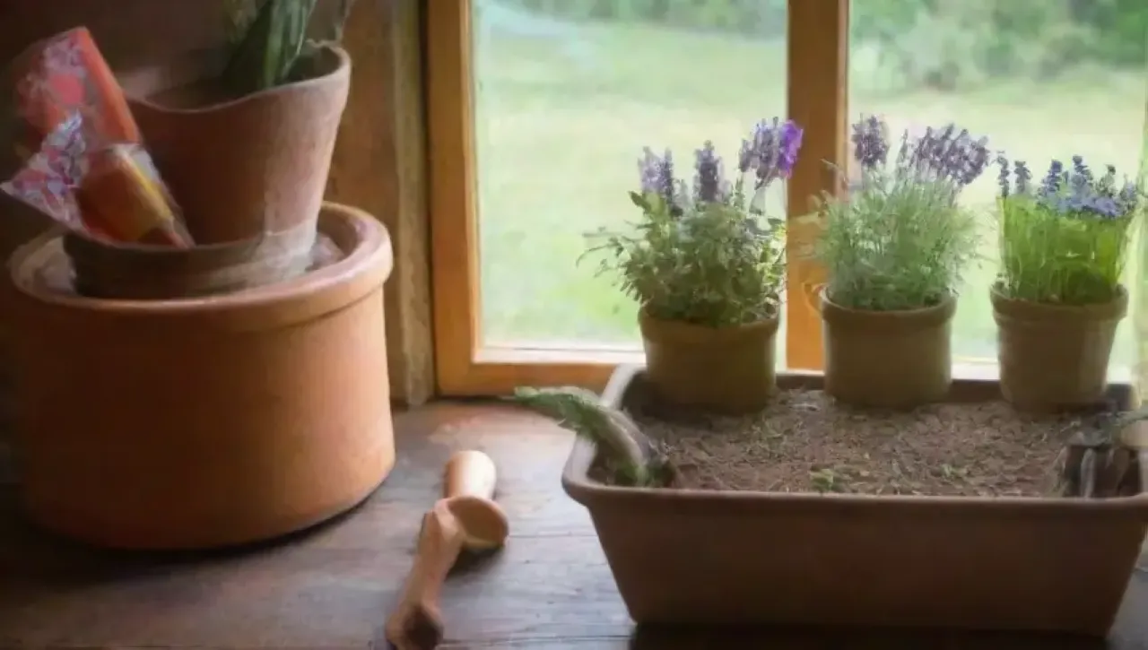 Un jardín vibrante con hierbas, flores y luz dorada