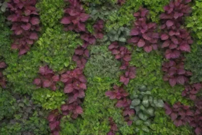 Jardín vertical con plantas saludables y colores vibrantes