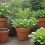 Hortaliza verde y vibrante en un jardín urbano soleado