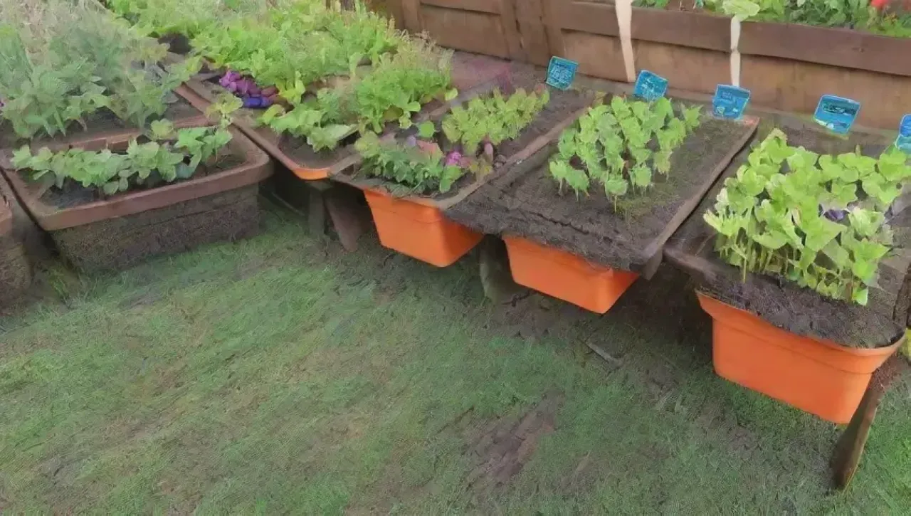 Un jardín vibrante lleno de plantas, herramientas coloridas y vida