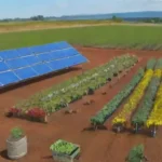 Cuál es el futuro de la maquinaria en la agricultura sostenible