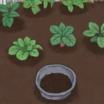 Fertilizantes naturales y compost para jardinería sostenible y mayor rendimiento