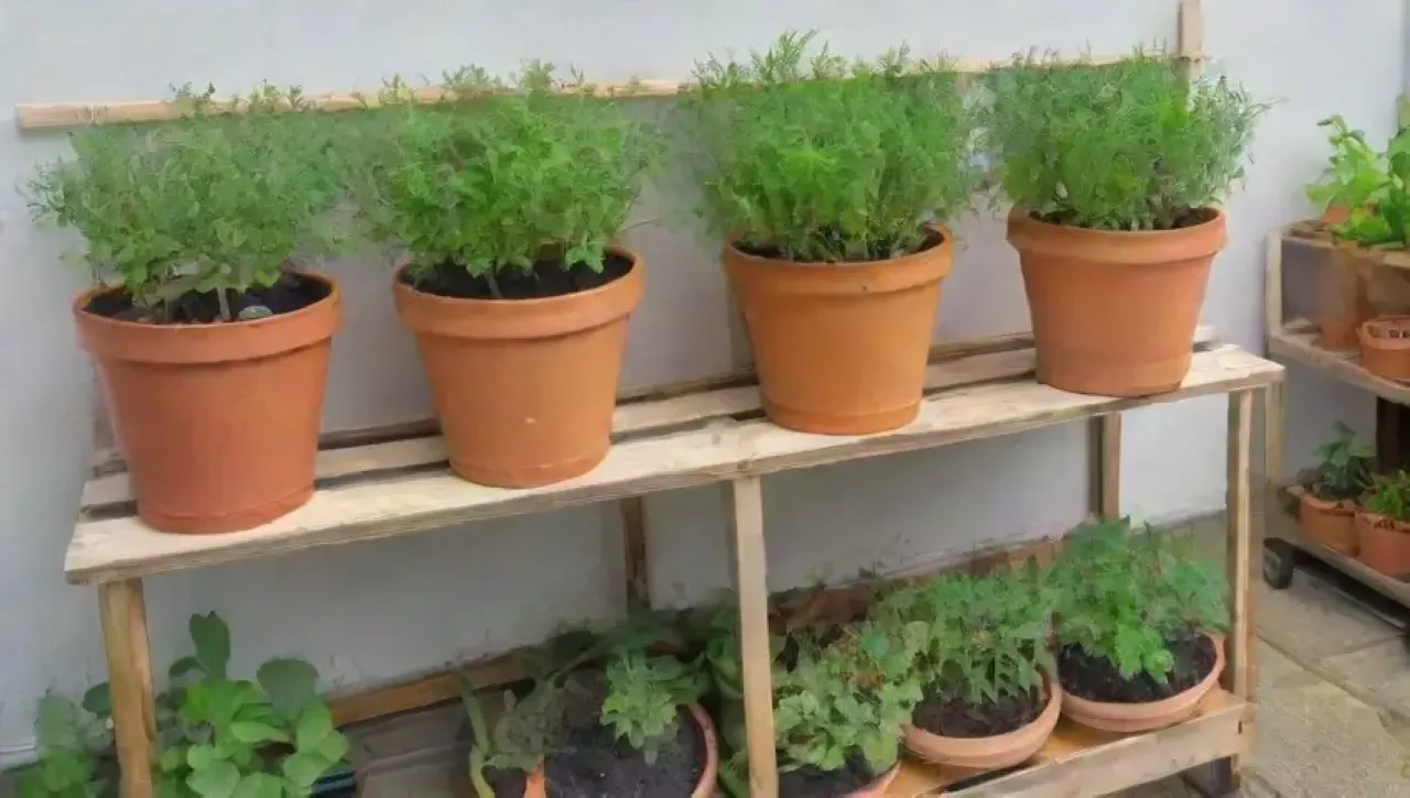 Un jardín urbano vibrante y acogedor con plantas, flores y herramientas