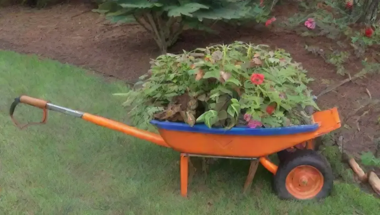 Un jardín vibrante con herramientas de jardinería y un cielo azul