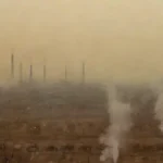 Cómo afecta la contaminación a la diversidad de especies