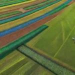 Drones y agricultura sostenible: un camino hacia la eficiencia