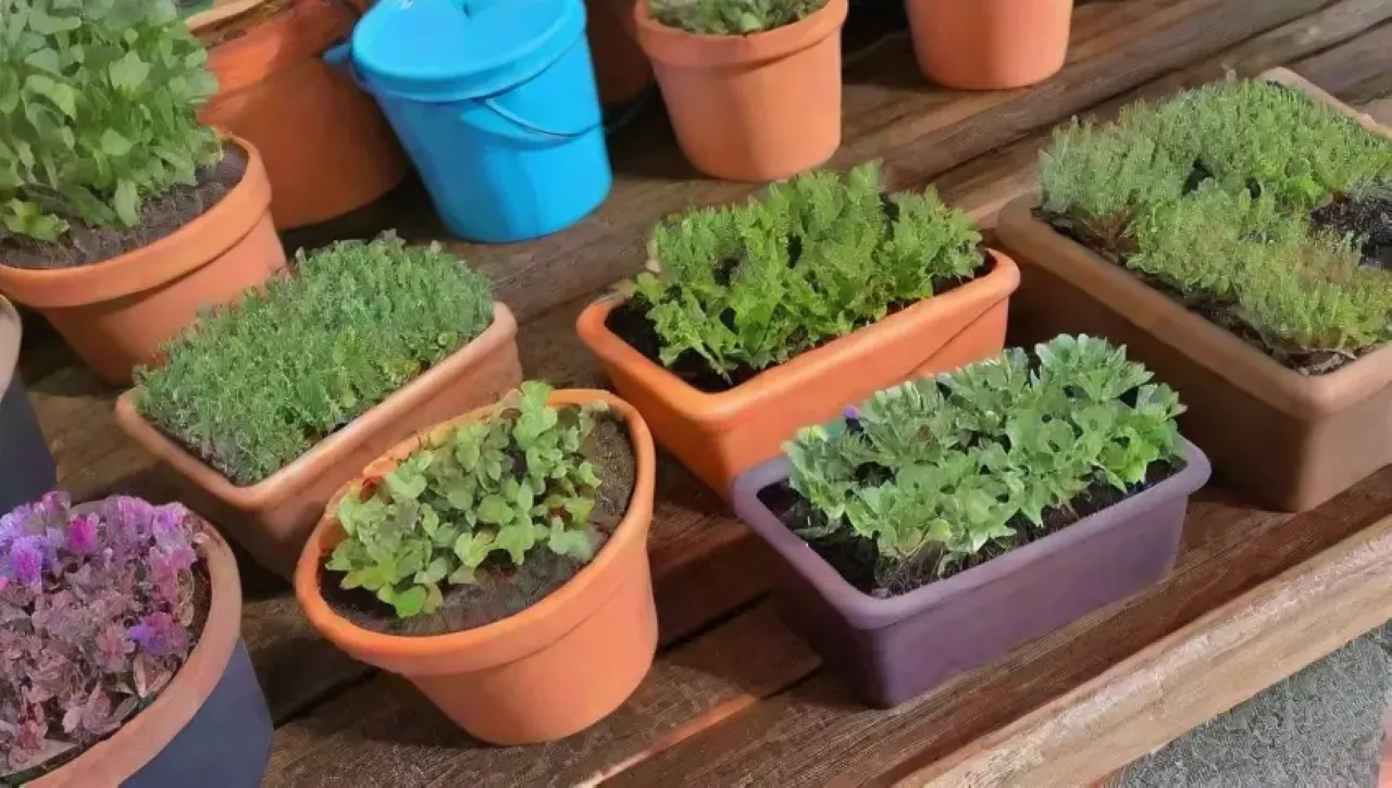 Un jardín vibrante y acogedor lleno de vida y color