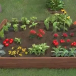 El mulching como recurso para el ahorro de agua en huertos urbanos