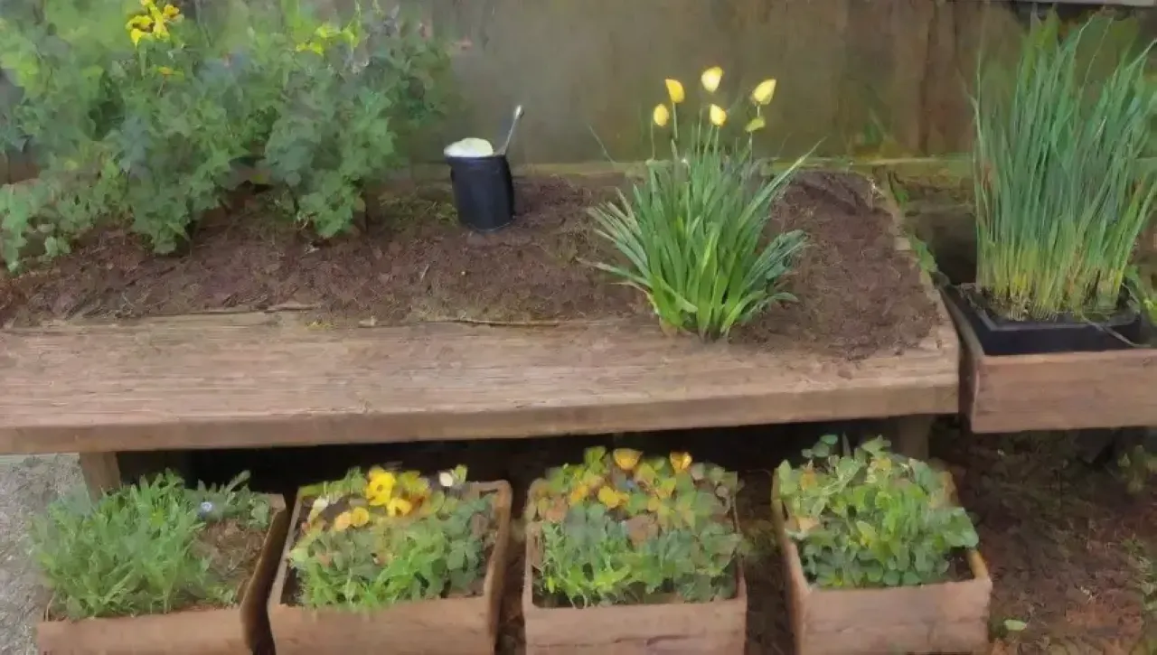 Un jardín vibrante con brotes de cebolla, flores amarillas, herramientas de jardinería y una atmósfera tranquila