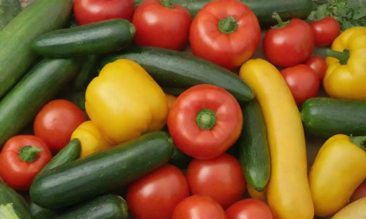 Verduras coloridas: tomates